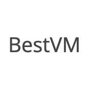 BestVM（富婆）